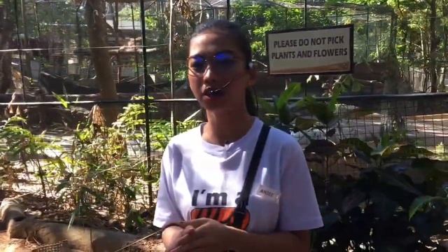 SAYING HELLO TO A PYTHON! (Zoobic Safari) смотреть онлайн