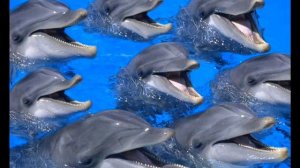 "Пусть смеются дети" детская песенка