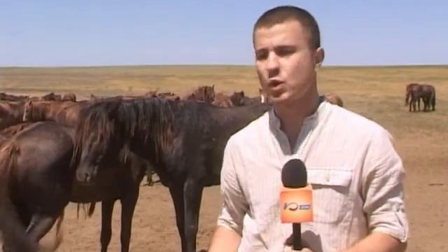 На севере Ростовской области появится новый природный парк смотреть онлайн