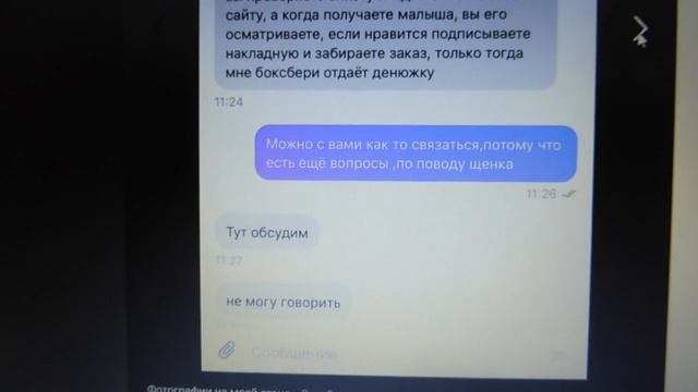 #АФЕРИСТЫ ПРОДАЮТ ЧИХУА#МОШЕННИКИ ОБМАН ПРИ ПОКУПКЕ ЧИХУА#ЩЕНКИЧИХУАОБМАН ПОКУПАТЕЛЕЙ НА ЮЛЕ , АВИТ