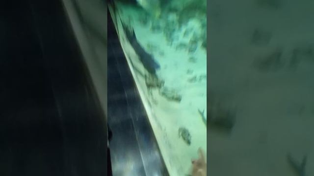 4 июня 2023 г. смотреть онлайн