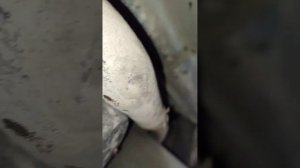 Подогрев двигателя 220в turbo на vw crafter 2.5 109л.с