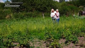 КАНАЛИЗАЦИЯ ТОПИТ ПОСЁЛОК КАЧА