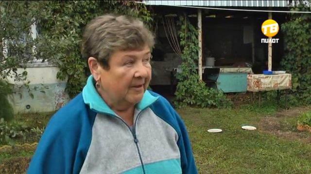 В Твери спасли 11 щенков. 2016-08-29 смотреть онлайн