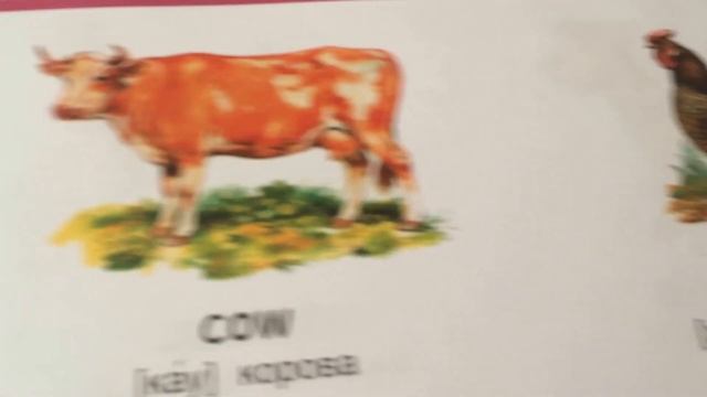 Английский для малышей. Дикие и домашние животные на английском смотреть онлайн