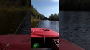 Выдра Аян 430 тест на воде.