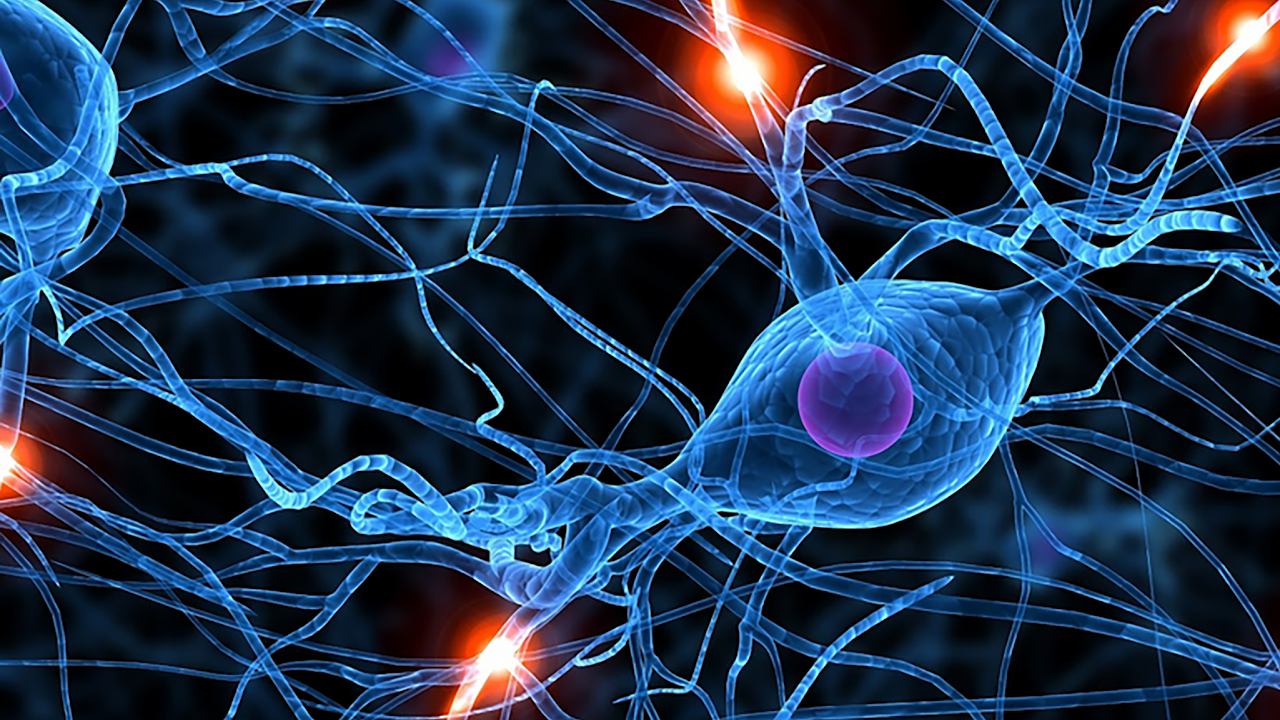 Орел В.В. Остеопатия. Краниосакральная концепция. смотреть онлайн