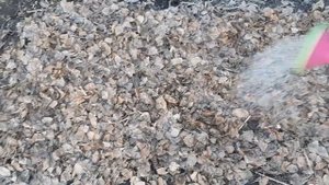 КУДА девать ГОРЫ листвы Весной! Весенняя уборка сада, КАК  Быстро и Эффективно это сделать!
