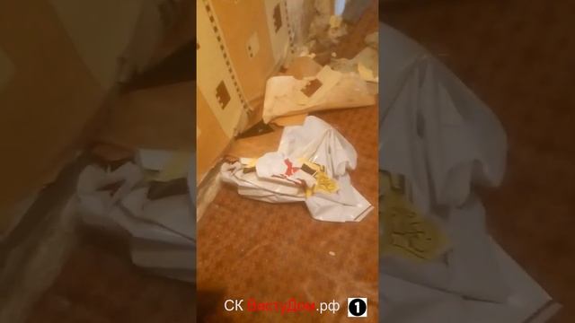 Ремонт квартиры по Васту в Краснодаре