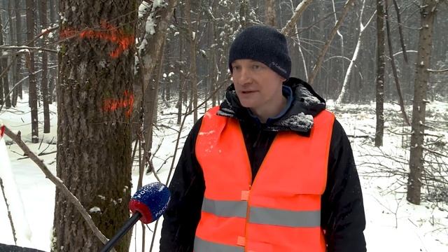 Лесозаготовка. Угранский район Смоленской области смотреть онлайн