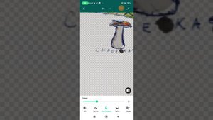 Как сделать собственные стикеры в WhatsApp?