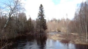 Наши путешествия. Река Кабожа Мошенского района Новгородской области.