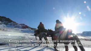 Зона покоя Укок. Снежный Барс. В горах Южного Алтая. Конная экспедиция в горы Сибири. Горный Алтай.