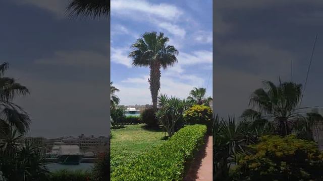 #crowd1 АнтонинаЧеменцова Египет Хургада наша Пасха 2мая смотреть онлайн