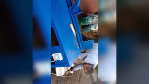 Лучший дровокол с редуктором РМ-250\350 бензиновый или электродвигатель 220/380вольт от 25 тыс грн