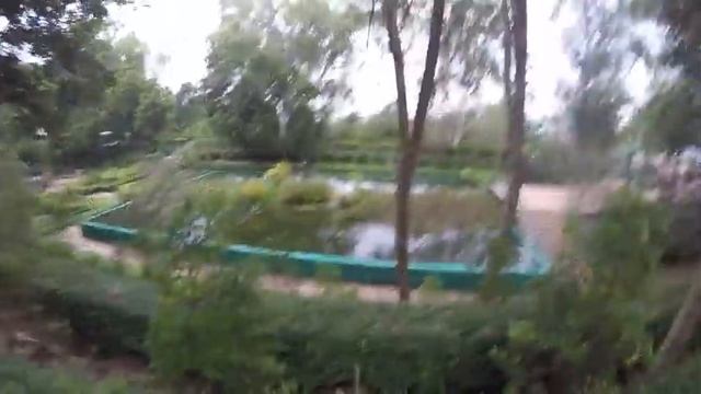 ГОРА ПРАТАМНАК. ВЕРШИНА МИРА. ОЧИСТИЛИСЬ. ПАТТАЙЯ 2017 ТАЙЛАНД