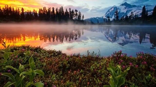 Роберт Адамс -173. Не реагировать - вот единственная духовная жизнь., озвучивает Nikosho. смотреть онлайн