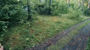 продолжение нового видео Макса