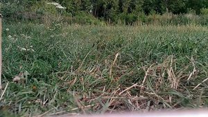 Мёртвая петля в воздухе, на квадрокоптере! ПОКОРЯЕМ небо 🎥