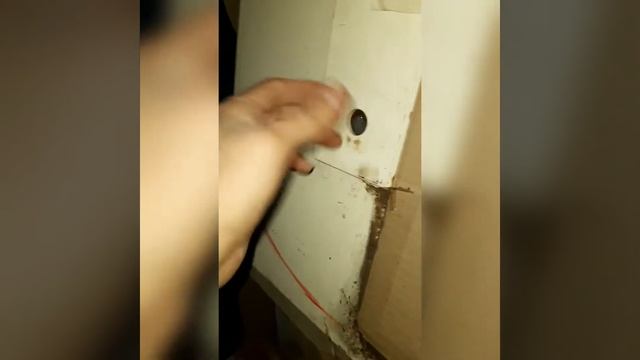 обескрыливатель семян сосны и других пород хвойных