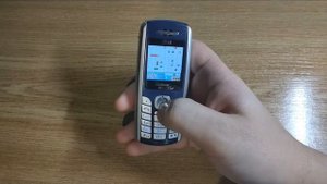Lg c3100(Lg g1600) Бюджетник из 2004 года.