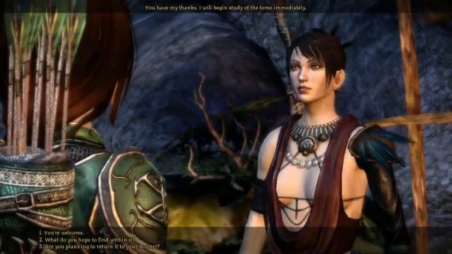Dragon Age Origins Morrigan you found Flemeth's grimoire.avi смотреть онлайн