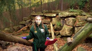 A Day in the Life of A Zookeeper - Snow Leopards! ❄️