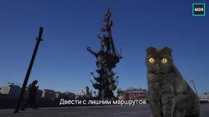 Весь город — музей! | Кот Бублик