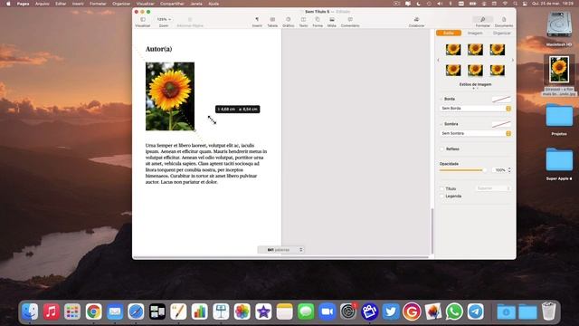 [TOP] 3 Super Dicas de Pages no Mac  Muito Útil Para Quem Está Começando смотреть онлайн