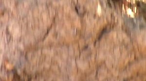 Экологический рейд ОНФ в западном Подмосковье. ООПТ «Долина реки Сторожки»