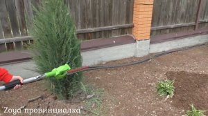Формирую хвойные/ ОБЗОР/ Кустарез штанговый аккумуляторный Greenworks G24PH-51 серии 24V/ #деревня