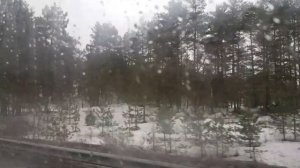 Автобус 306 "Г. Сестрорецк, Курортная ул. - Пансионат "Дюны" (Трасса изменена)