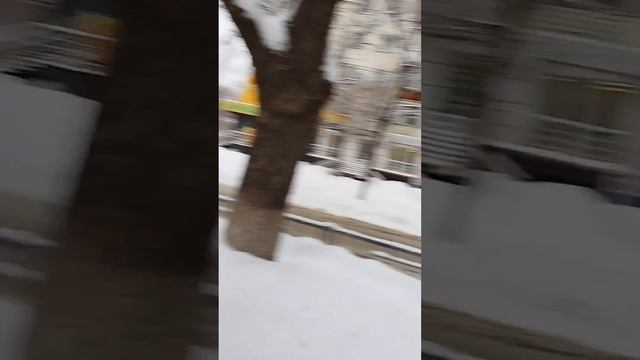 снегом замело ? #снег #snow #зима #winter #ГараевДамир #GaraevDamir #shorts #short #game #игра