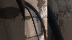 Печь  на отработке  на естественной   тяге  без наддува.