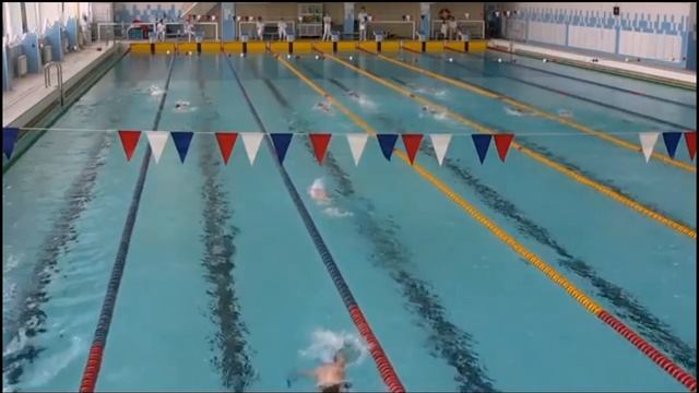 Заплыв на 800 метров вольным стилем // отбор на "Весёлый дельфин" смотреть онлайн