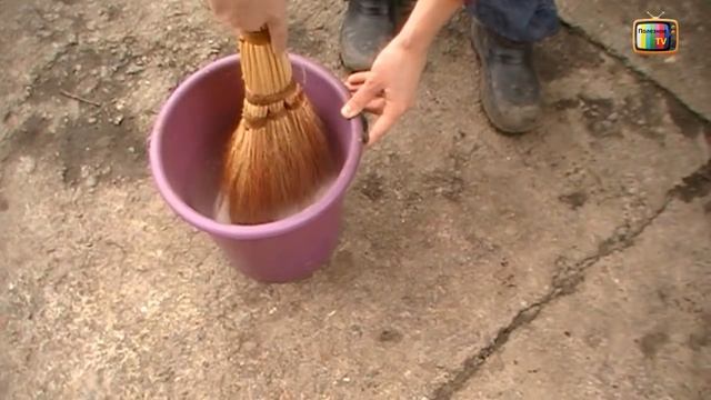 ОБРАБОТКА (ОПРЫСКИВАНИЕ) СМОРОДИНЫ И КРЫЖОВНИКА ОТ ВРЕДИТЕЛЕЙ И БОЛЕЗНЕЙ ВЕСНОЙ смотреть онлайн