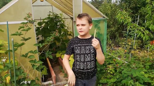 ГЕРМАНИЯ ВЛОГ// НА ДАЧЕ У ДЯДИ С ТЁТЕЙ смотреть онлайн