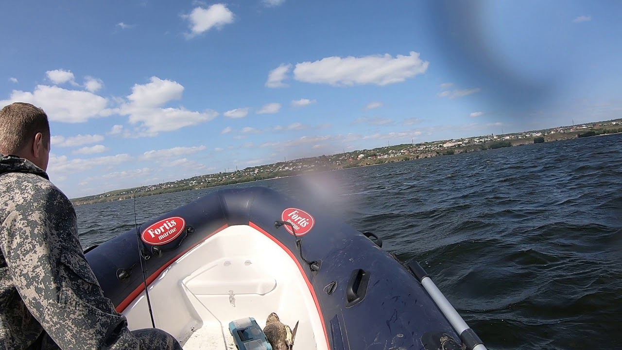 ФОРТИС по небольшой волне/ FORTIS смотреть онлайн