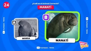 Adivina el Animal Correcto por La Foto 🐵🐸🦁 | Play Quiz de Animales