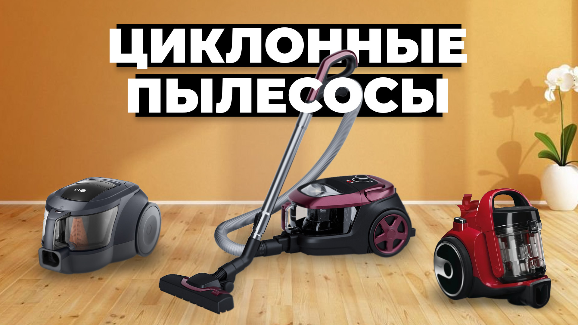 Топ пылесосов 2025 бюджетных. Топ пылесосов 2025 бюджетных