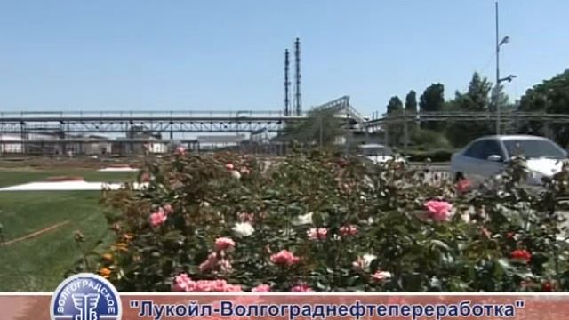 Волгоградская земля - Волгоградское качество: химия и нефтехимия