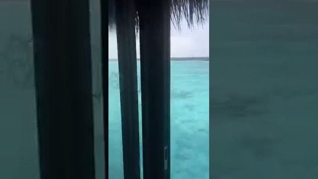 Виктория Лопырева кайфует на мальдивах! смотреть онлайн