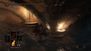 Квест Сигварда из Катарины Dark Souls 3