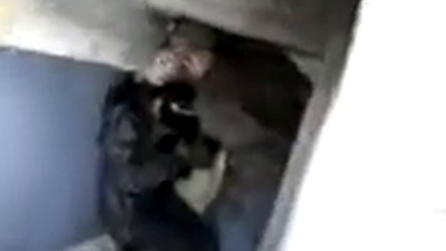 Бомжи спят в хатке смотреть онлайн