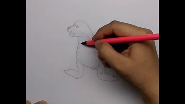 Как нарисовать тюленя смотреть онлайн