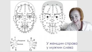 ФИЗИОГНОМИКА. 2 день обучения