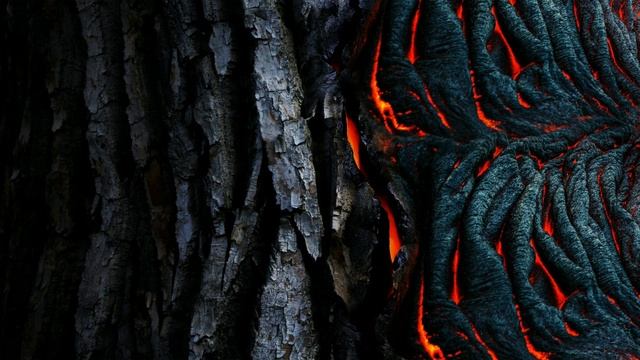 КАК Я В РЕСТОРАНЕ ВЫСТУПАЛА | ИНТЕРЕСНЫЕ ИСТОРИИ #интересныеистории #новыеисторииизжизни #новинки
