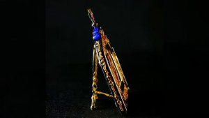 Предметная видеосъемка. Ювелирные изделия.