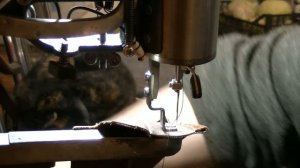 Прижемная лапка швейной машинки  Versailles