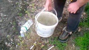 По секрету всему свету...Закисление почвы для голубики
